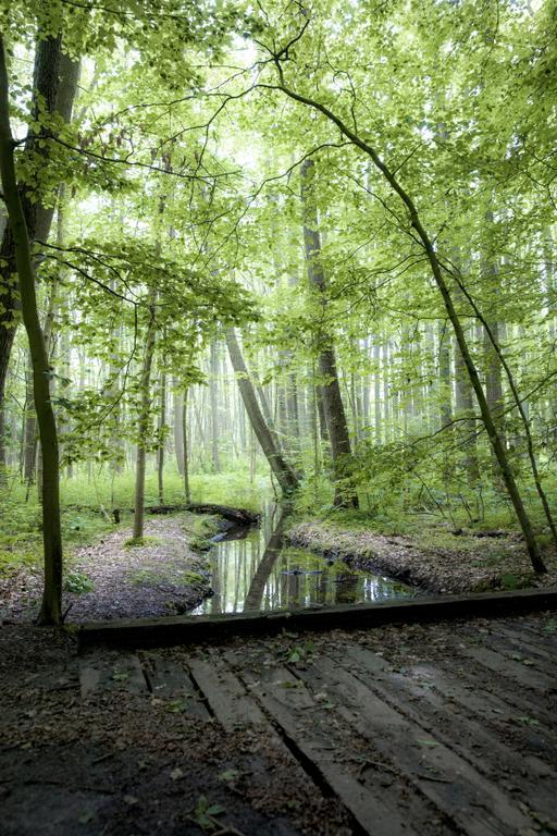 Forsthaus Heiligenberg Hotell Bruchhausen-Vilsen Exteriör bild